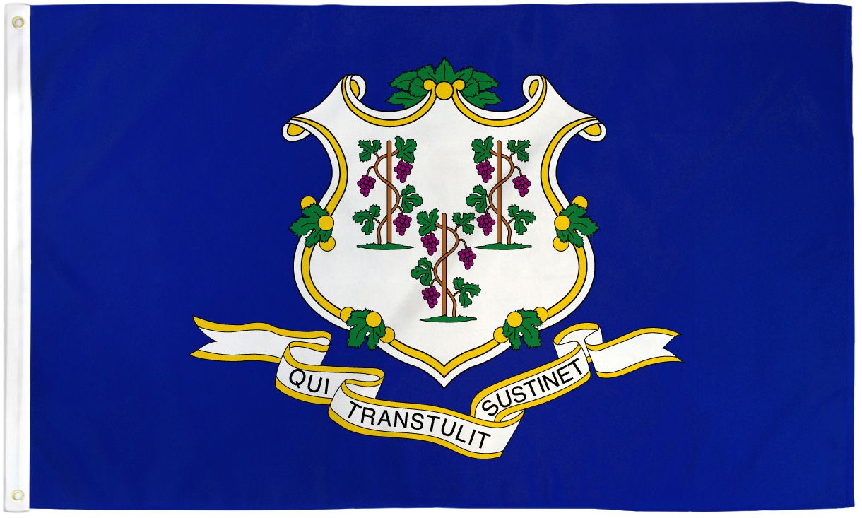 Connecticut State Flag 3x5ft Polyester | Official Flag Pole ...