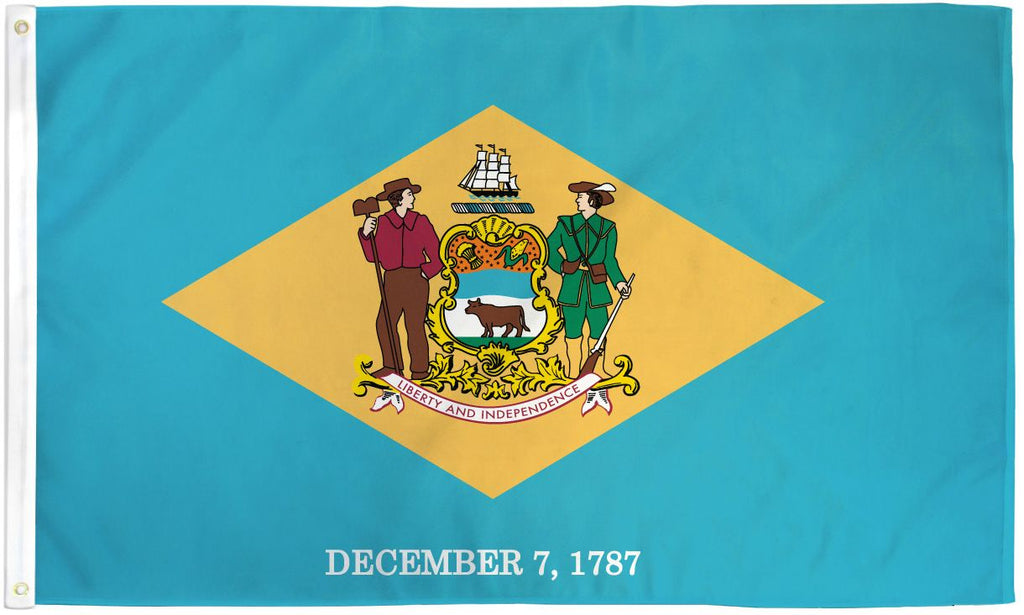 Delaware State Flag 3x5ft Polyester